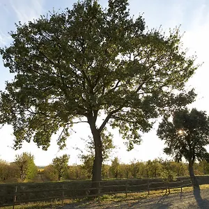  Alloggio per agriturismo Lucerna Del Prile